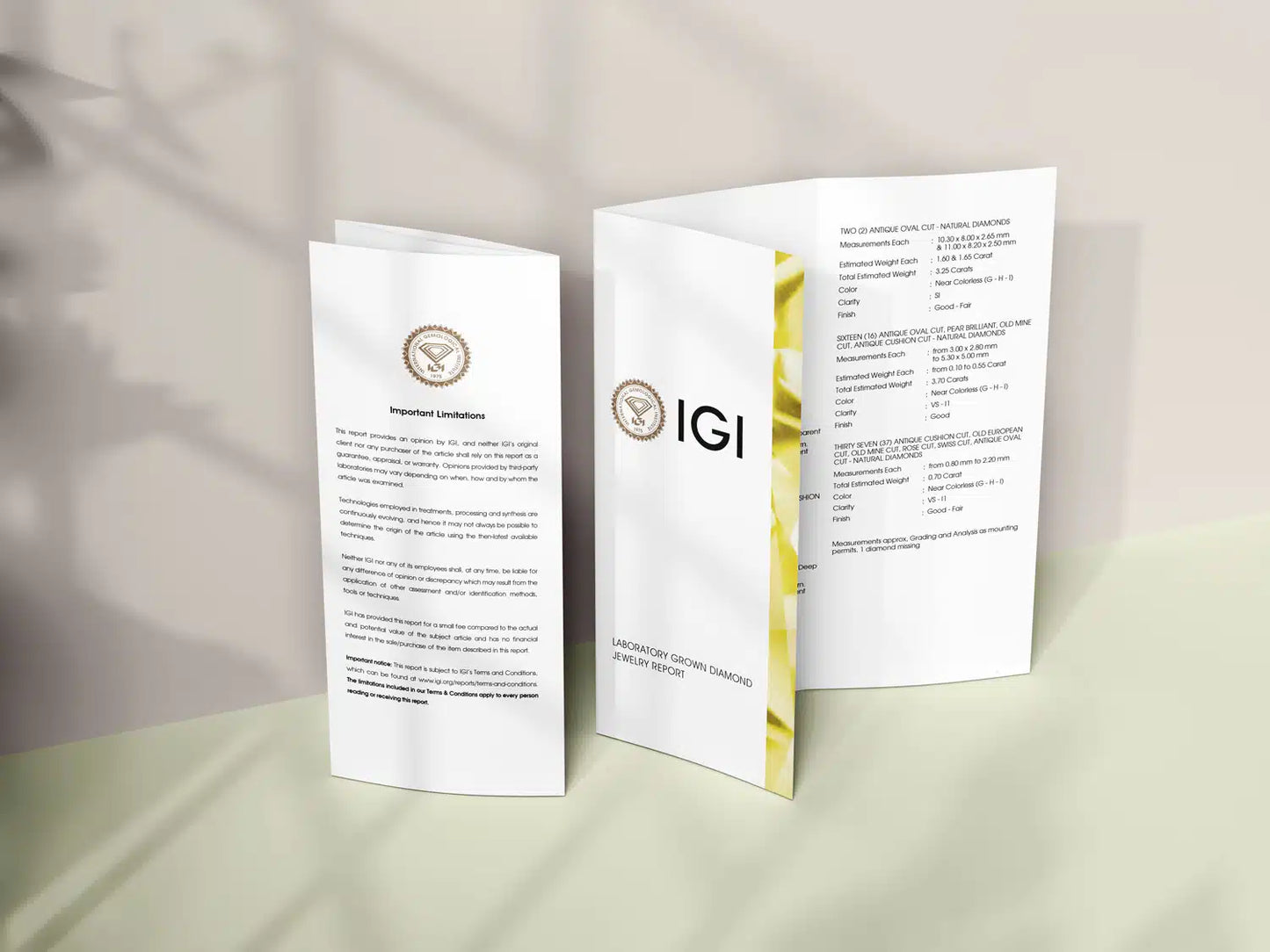 2ct Lab Grown Diamond Solitaire Stud Earrings – IGI Certified | 14K Yellow Gold