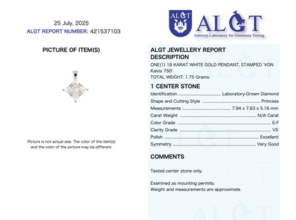 18kt White Gold Necklace with 3ct Princess Cut Lab Grown Diamond ALGT Certified